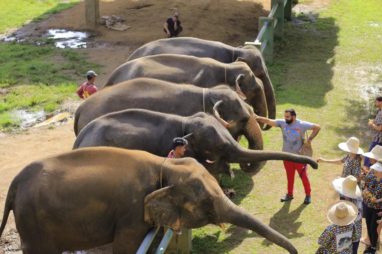 Experience Mae Taeng’s heritage with guided tours